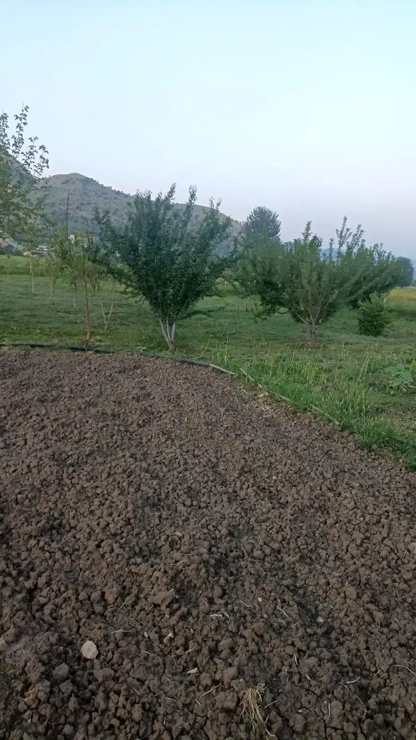 فروش فوری|فروش زمین و ملک کلنگی|مریوان, |دیوار