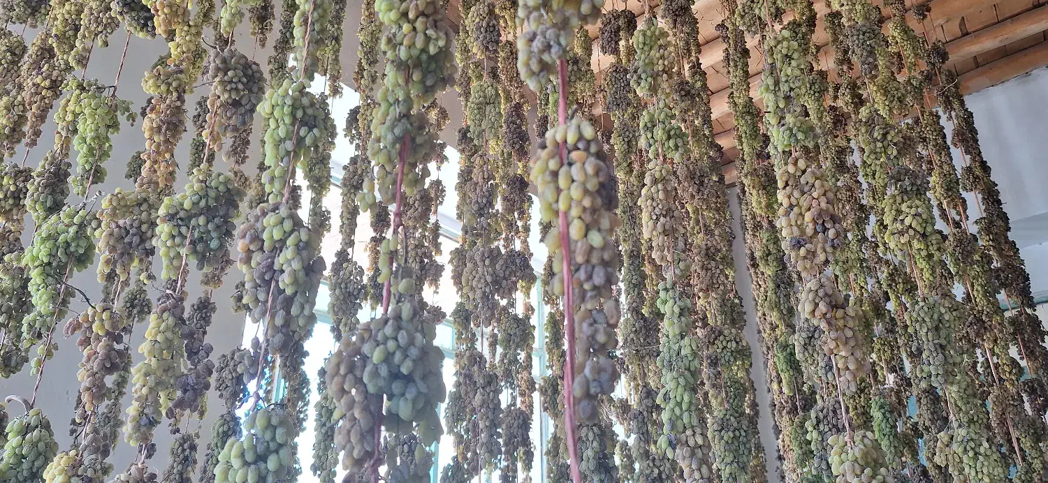 کشمش سایه خشک|خوردنی و آشامیدنی|ملایر, |دیوار