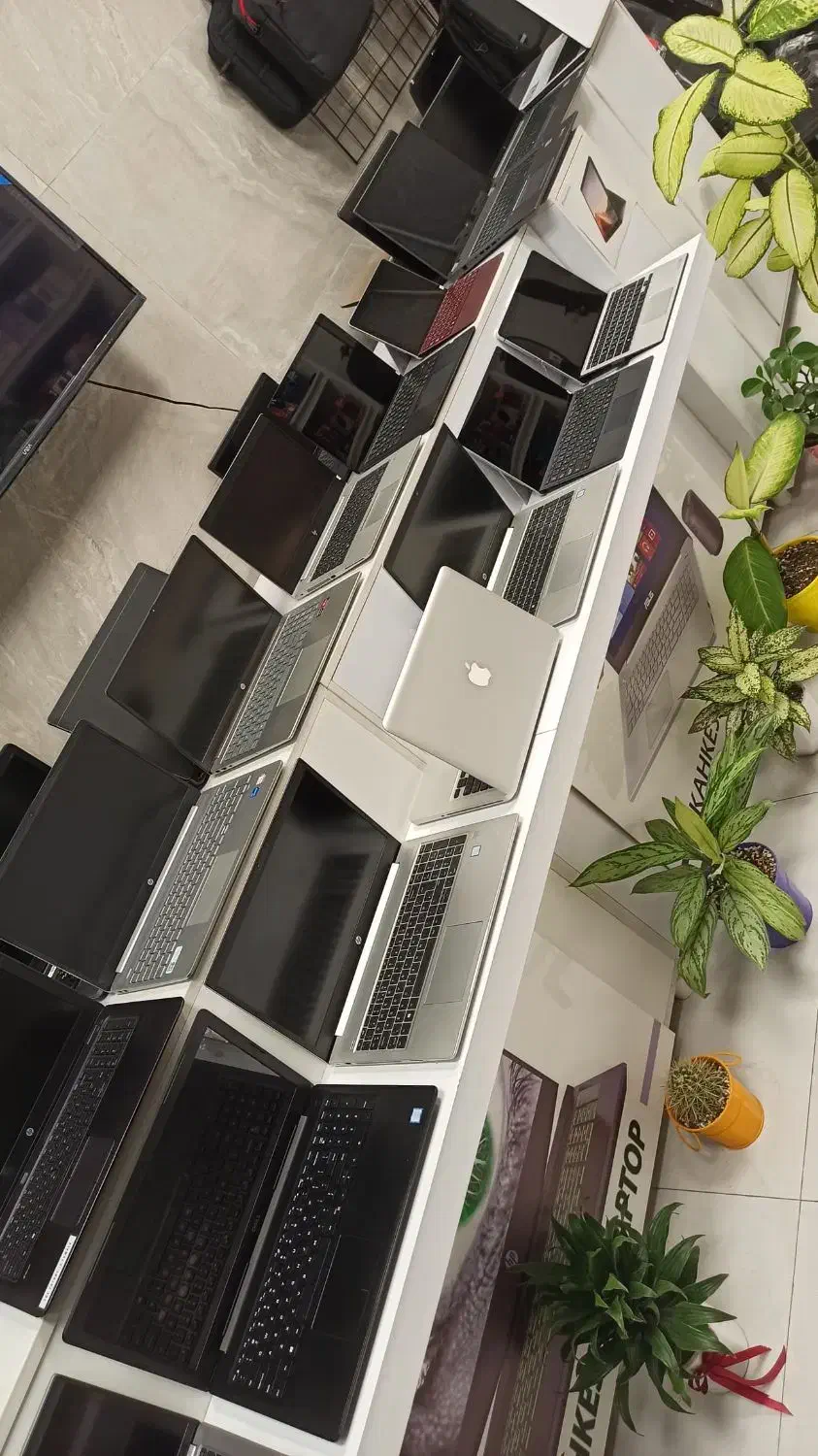 نمایندگی اصلیHp،Asus،Lenovo قسطی 12 ماهه بدون سود|رایانه همراه|گرگان, |دیوار