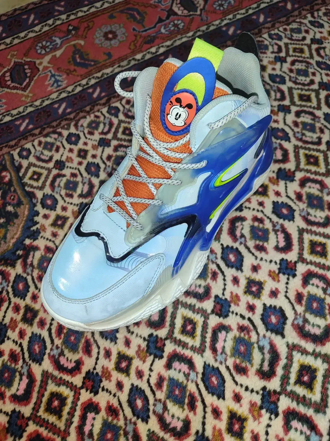 کفش خارجی|کیف، کفش، کمربند|اردبیل, |دیوار