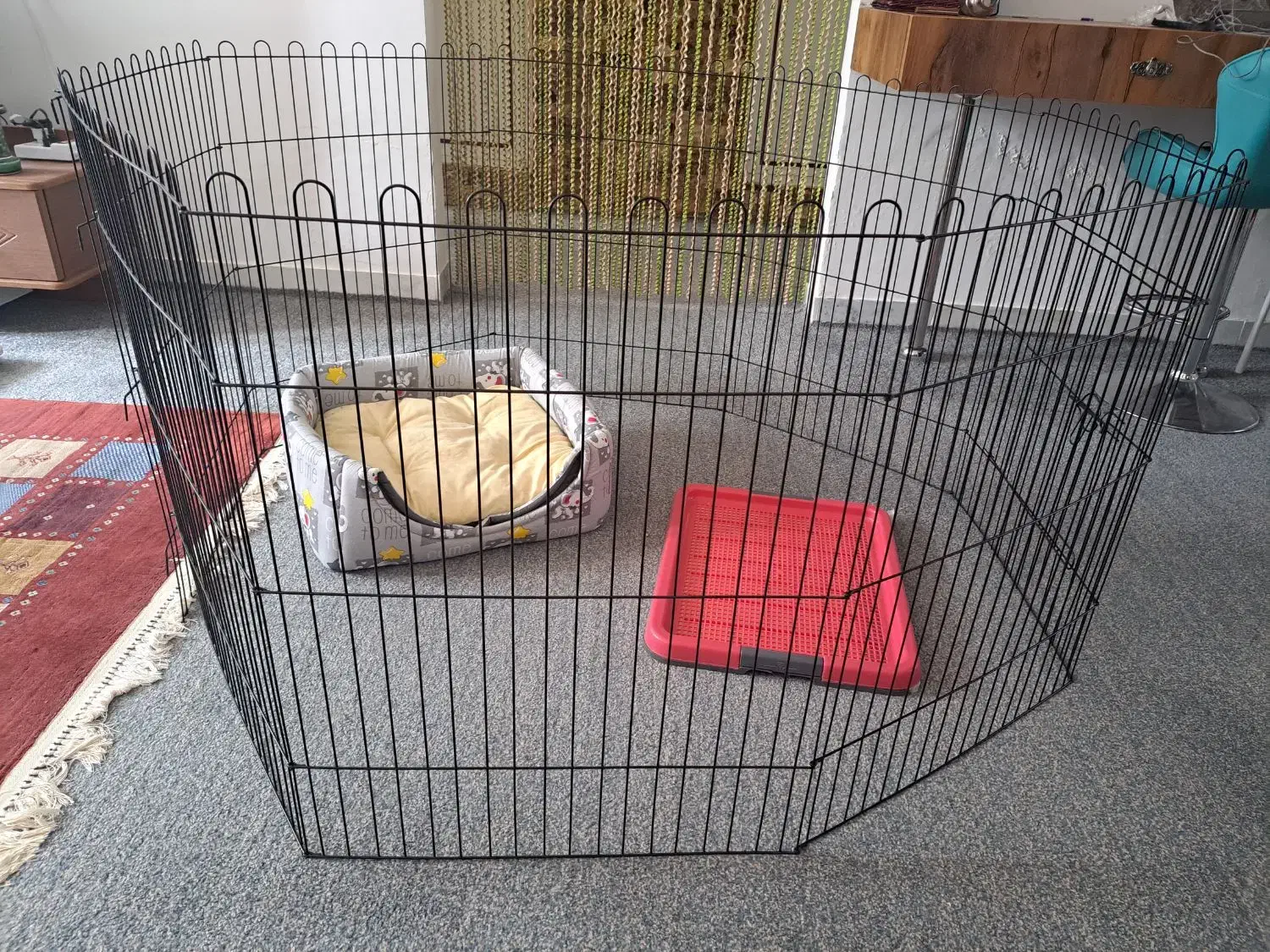 فروش لوازم جانبی سگ|لوازم جانبی حیوانات|جهرم, |دیوار