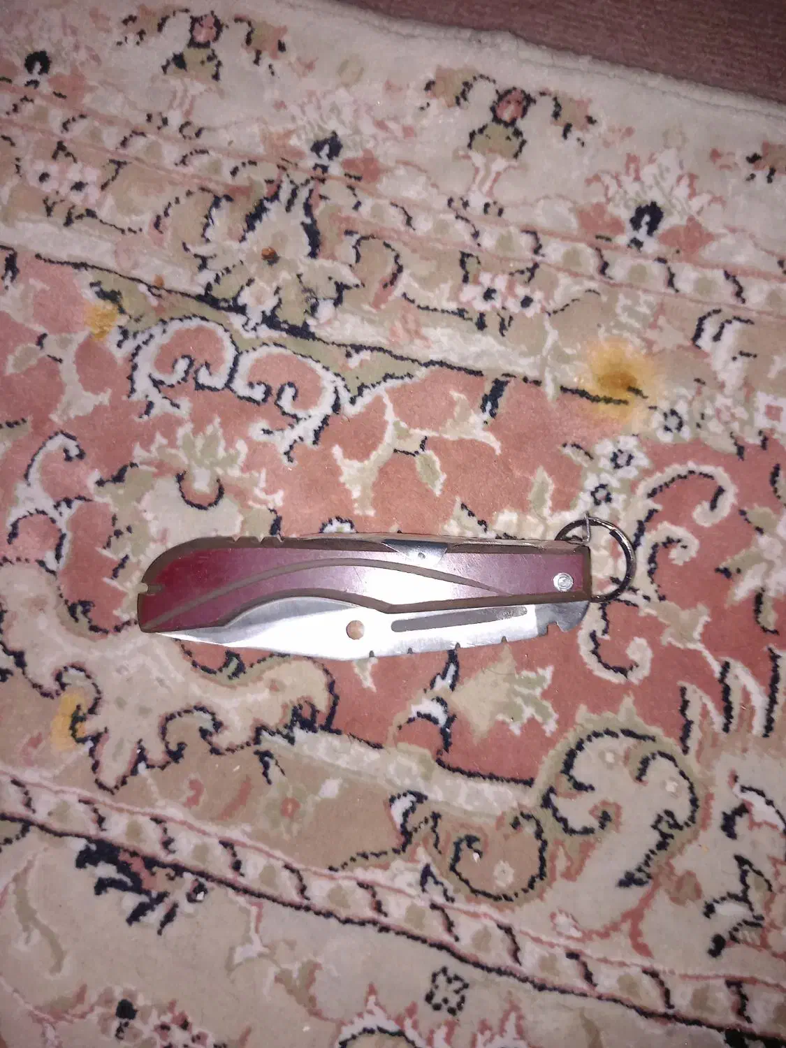 دو عدد چاقو|کوهنوردی و کمپینگ|ری, حمزهآباد|دیوار