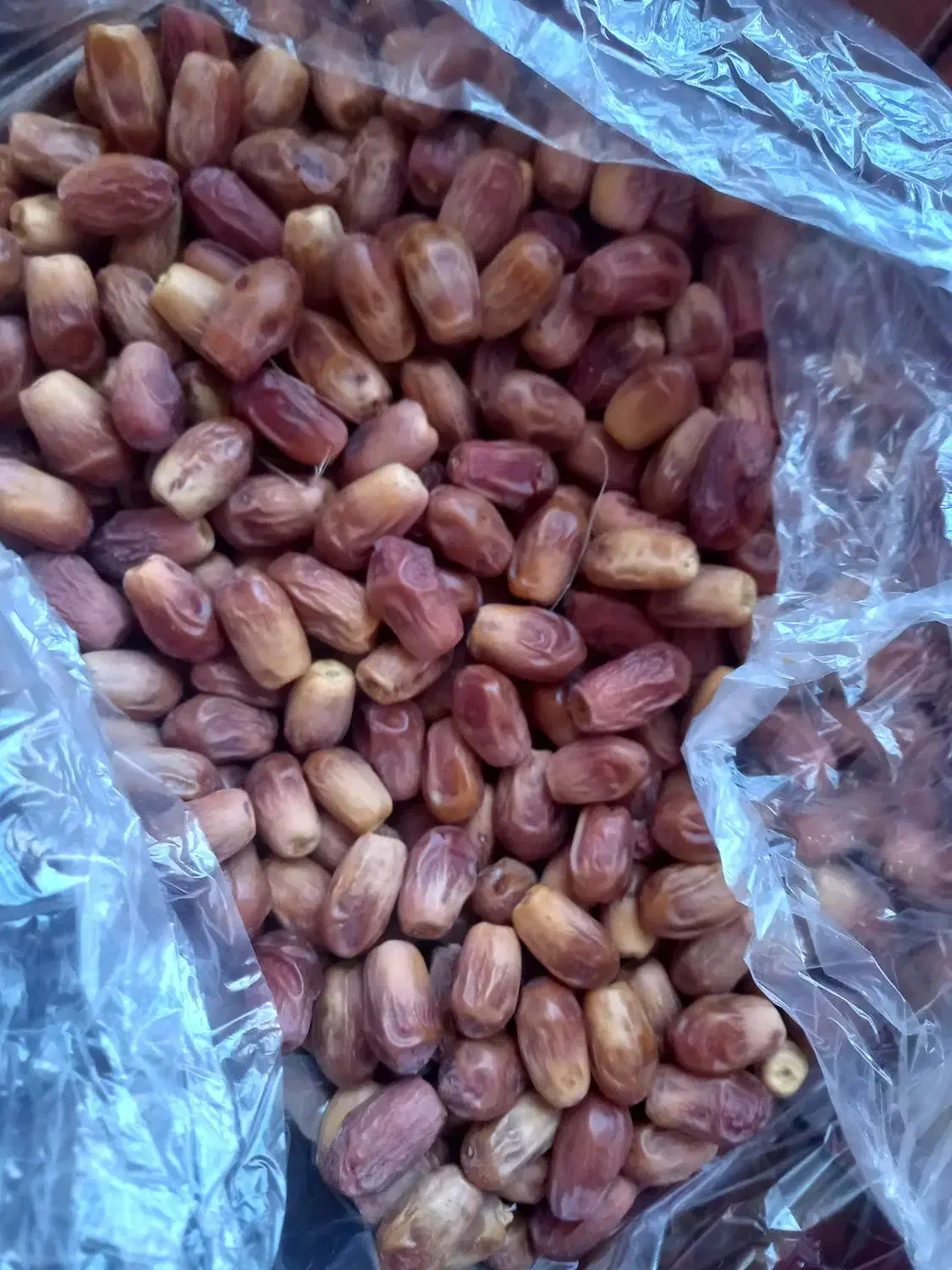 خرمای زاهدی درشت|خوردنی و آشامیدنی|قیروکارزین, |دیوار