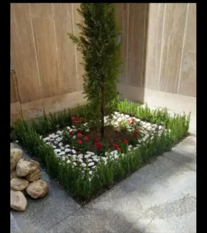 خدمات باغبانی در سراسر تهران|خدمات باغبانی و درختکاری|تهران, گلستان (شهرک راه آهن)|دیوار