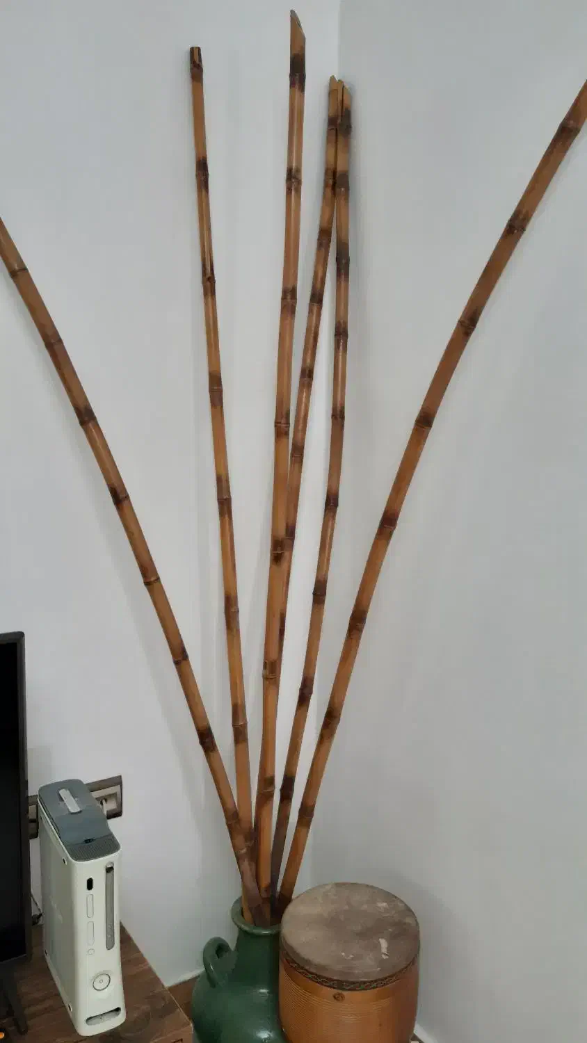 چوب بامبو تزئینی|صنایع دستی و سایر لوازم تزئینی|رشت, پیرکلاچای|دیوار