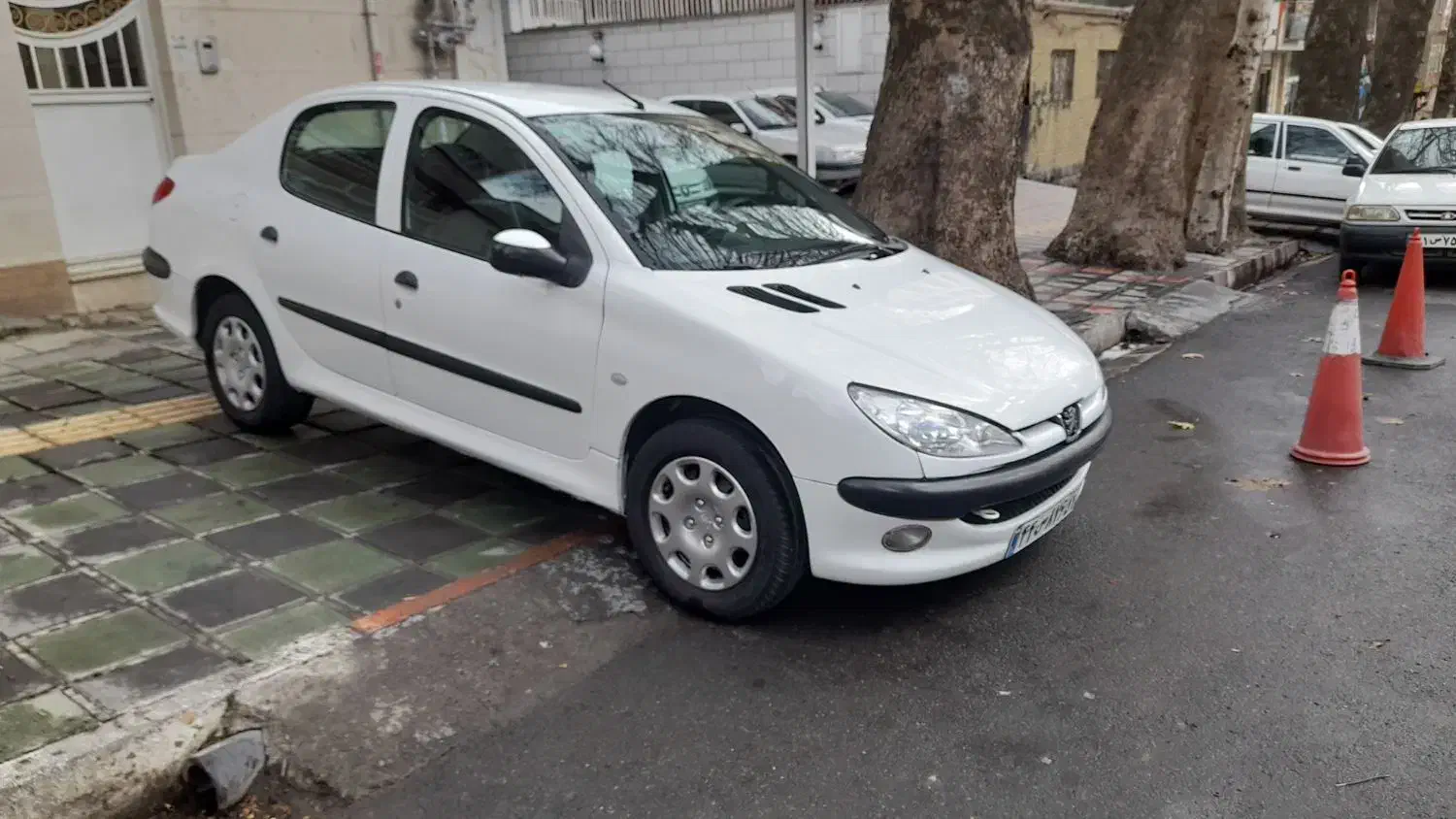 206 sd v8مدل ۹۶|خودرو سواری و وانت|سنندج, |دیوار