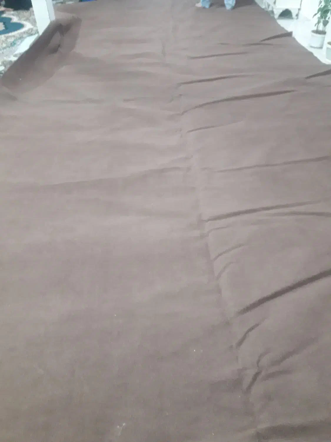 موکت تمیزو سالم|موکت|دورود, |دیوار