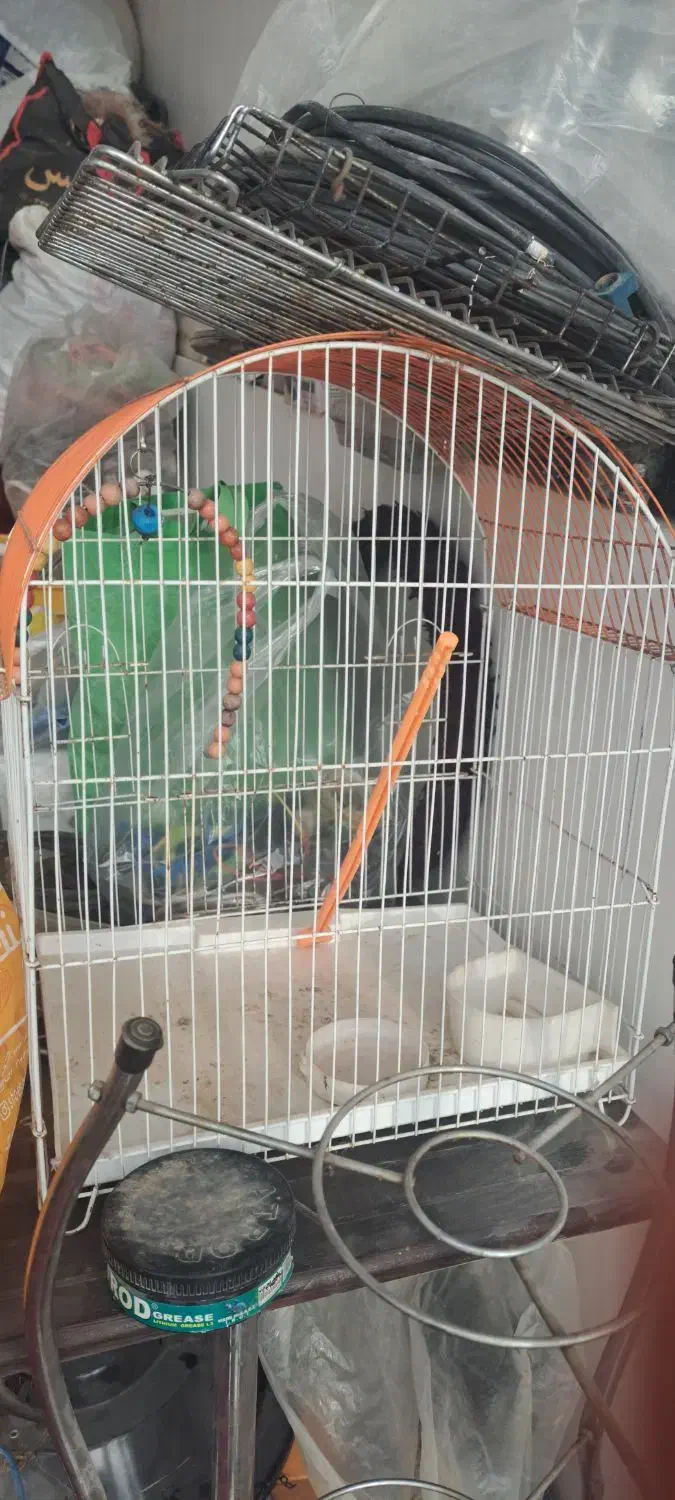 قفس پرنده|لوازم جانبی حیوانات|زابل, |دیوار