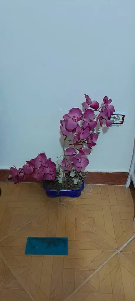 گلدان وگل مصنوعی خارجی هست|گل مصنوعی|محمدشهر, محمدشهر|دیوار