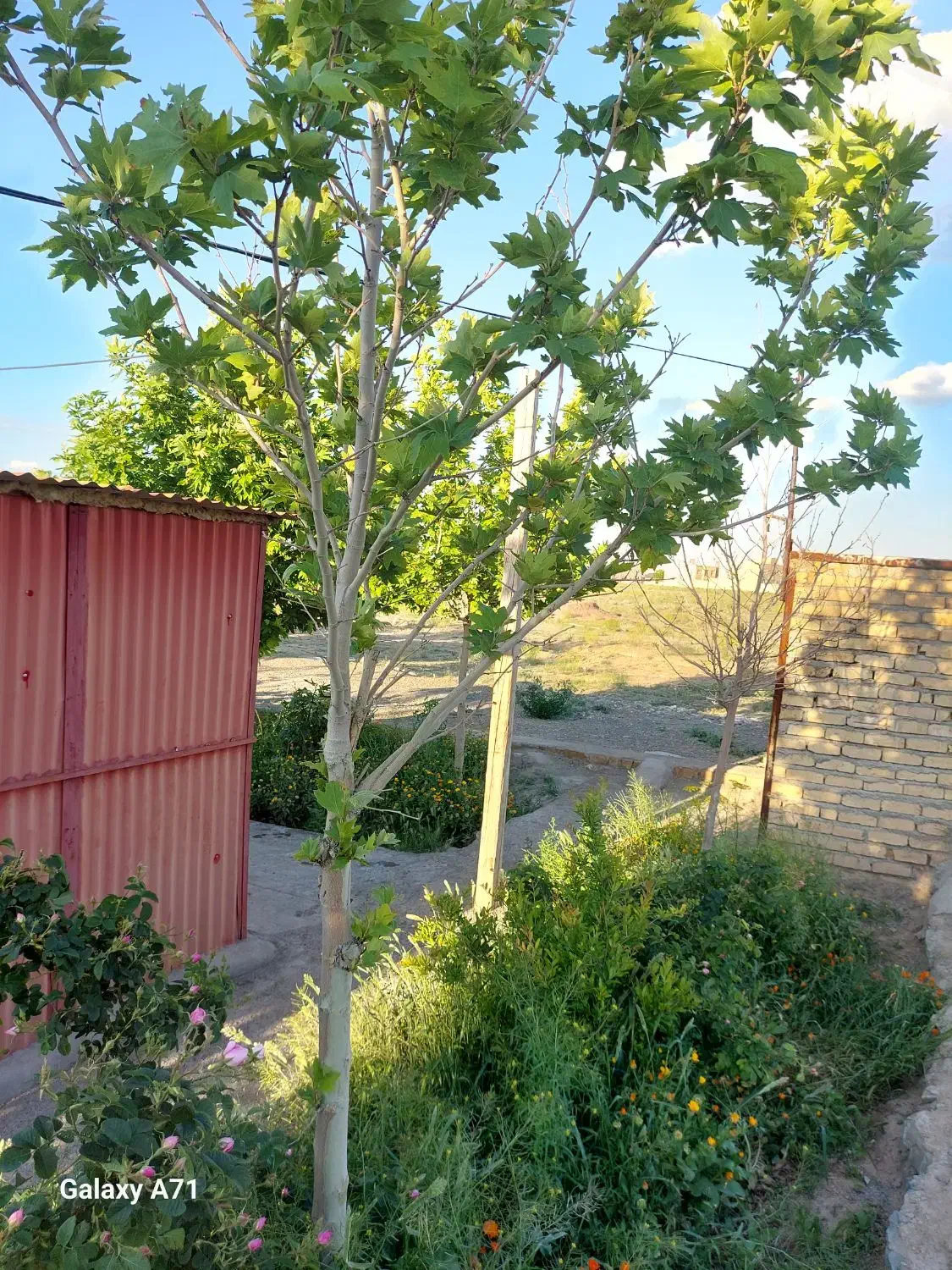 اسکان رایگان|فعالیت داوطلبانه|کهک, |دیوار