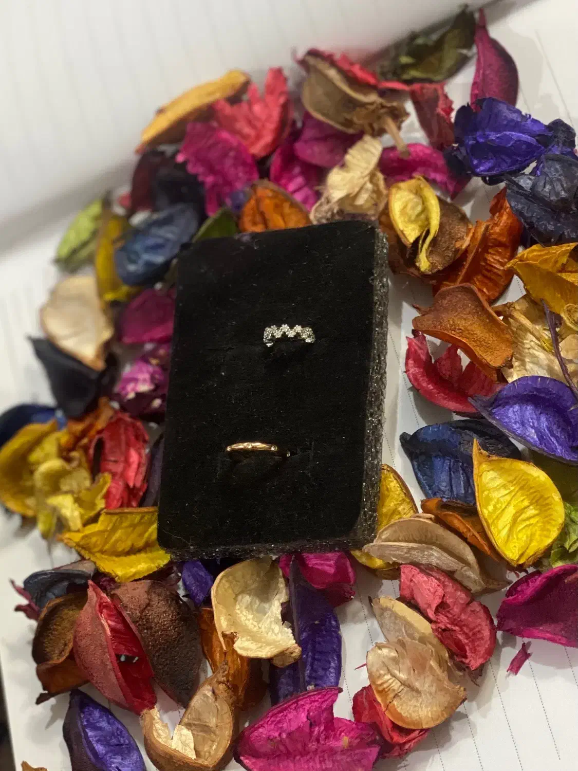 پرسینگ بینی|بدلیجات|لنگرود, |دیوار