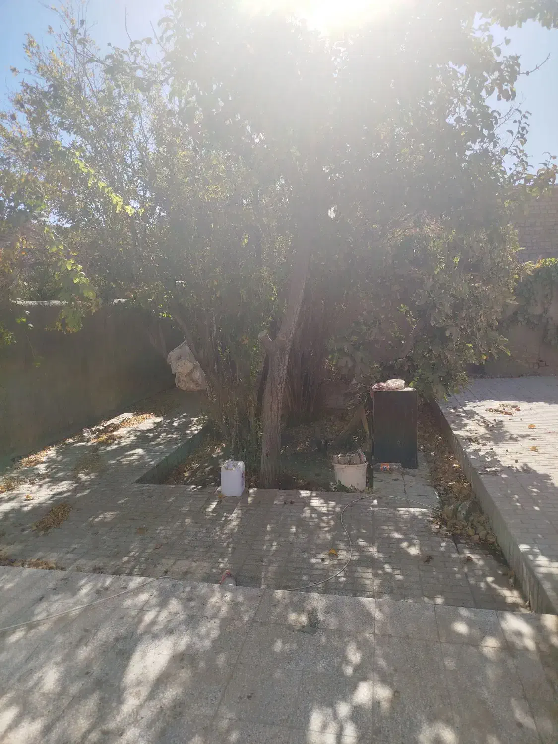 فروش فوری خانه ویلایی|فروش خانه و ویلا|تربتحیدریه, کوی شهید احمدزاده ملکی|دیوار