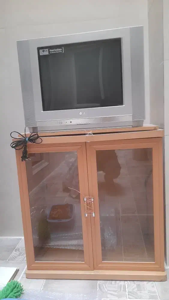 تلویزیون ۲۹ اینچ ال جی و میز تلویزیون|تلویزیون و پروژکتور|سنندج, |دیوار