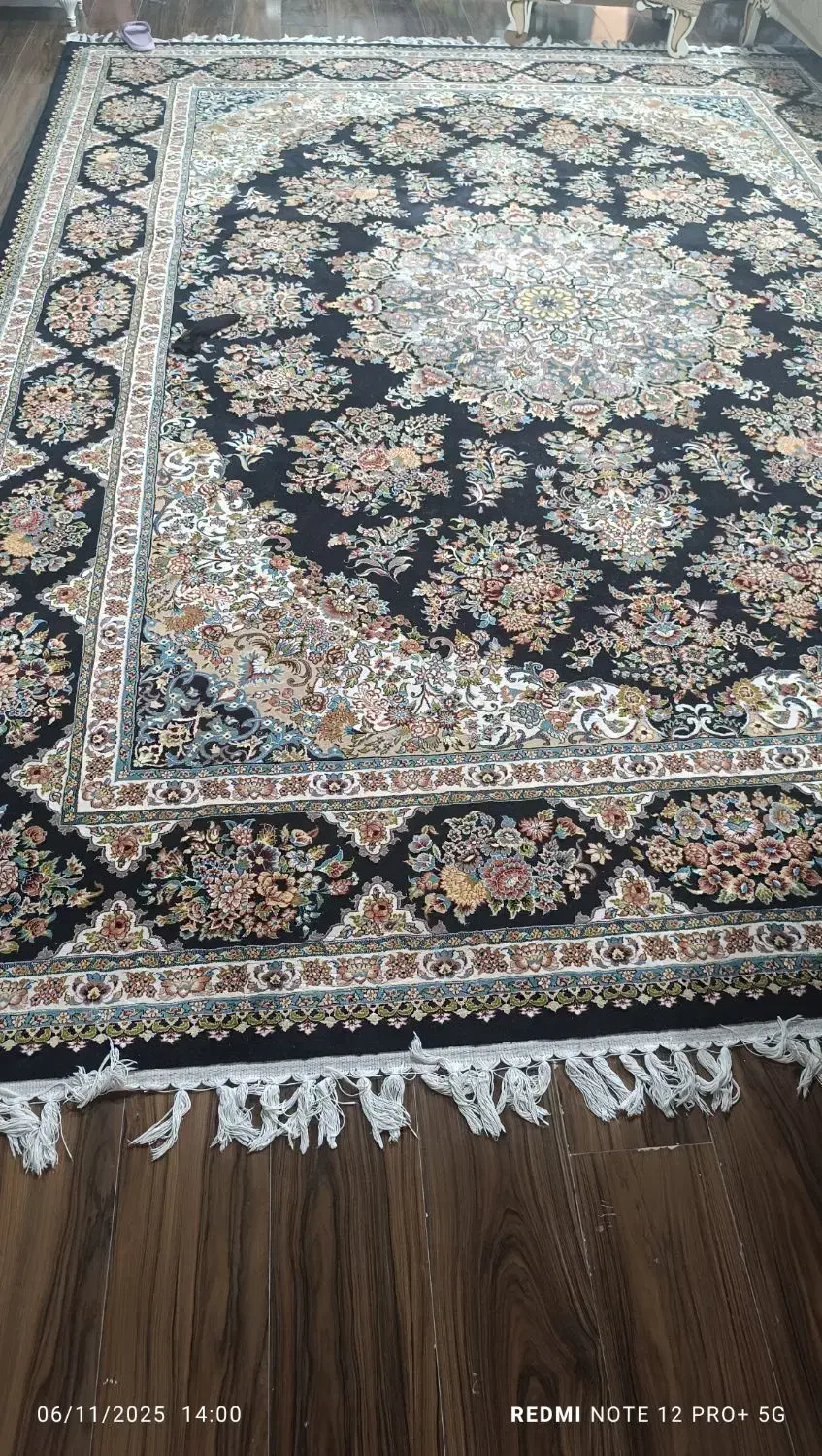 فروش|فرش|بندرعباس, |دیوار