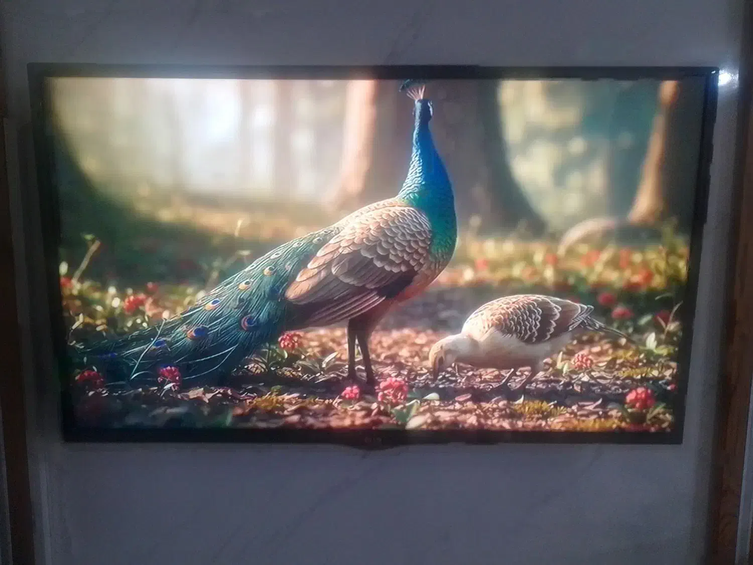 تلویزیون ال ای دی|تلویزیون و پروژکتور|همدان, |دیوار