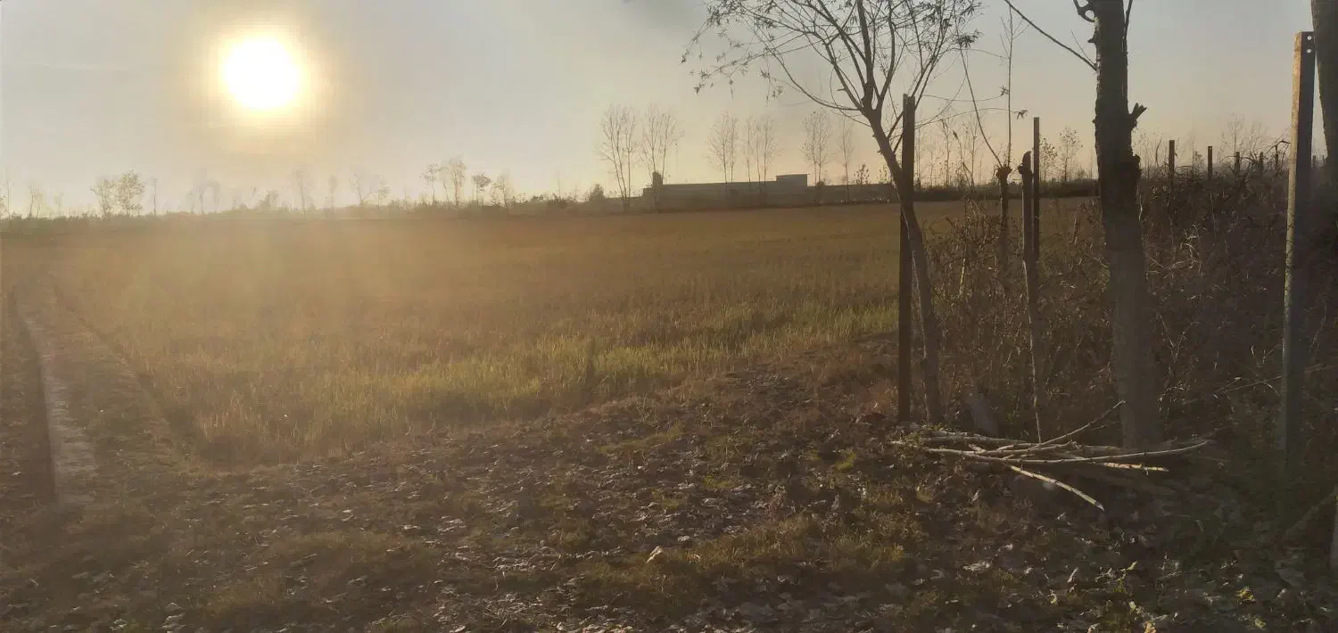 زمین باغی با انشعابات نزدیک|فروش دفتر صنعتی، کشاورزی، تجاری|کیاشهر, |دیوار