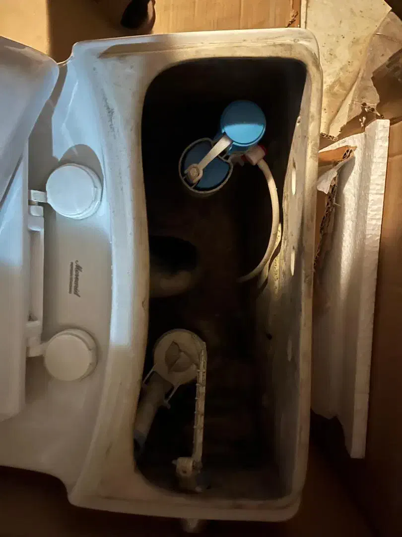 توالت فرنگی مروارید|لوازم سرویس بهداشتی|بومهن, |دیوار