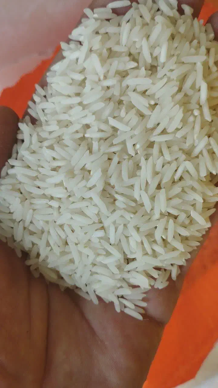 فروش برنج طارم هاشمی بوجاری|خوردنی و آشامیدنی|ساری, |دیوار