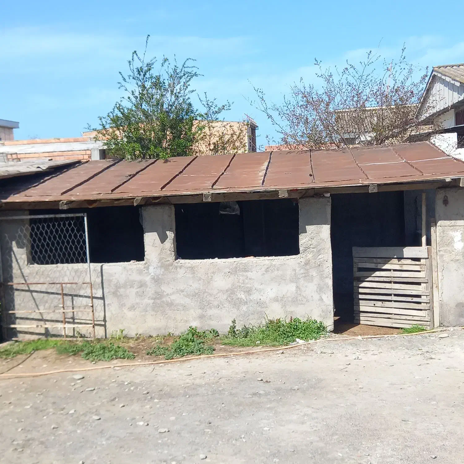 حلب|لوازم جانبی حیوانات|بندر ترکمن, |دیوار