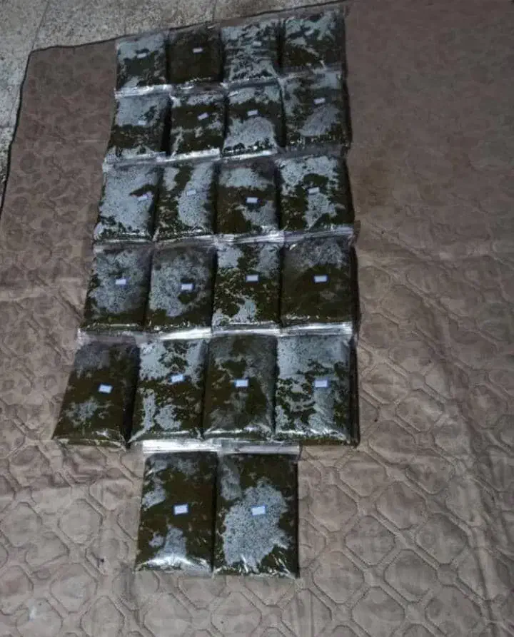 قرمه سبزی. برای آش و ماهی|خوردنی و آشامیدنی|باغ ملک, |دیوار