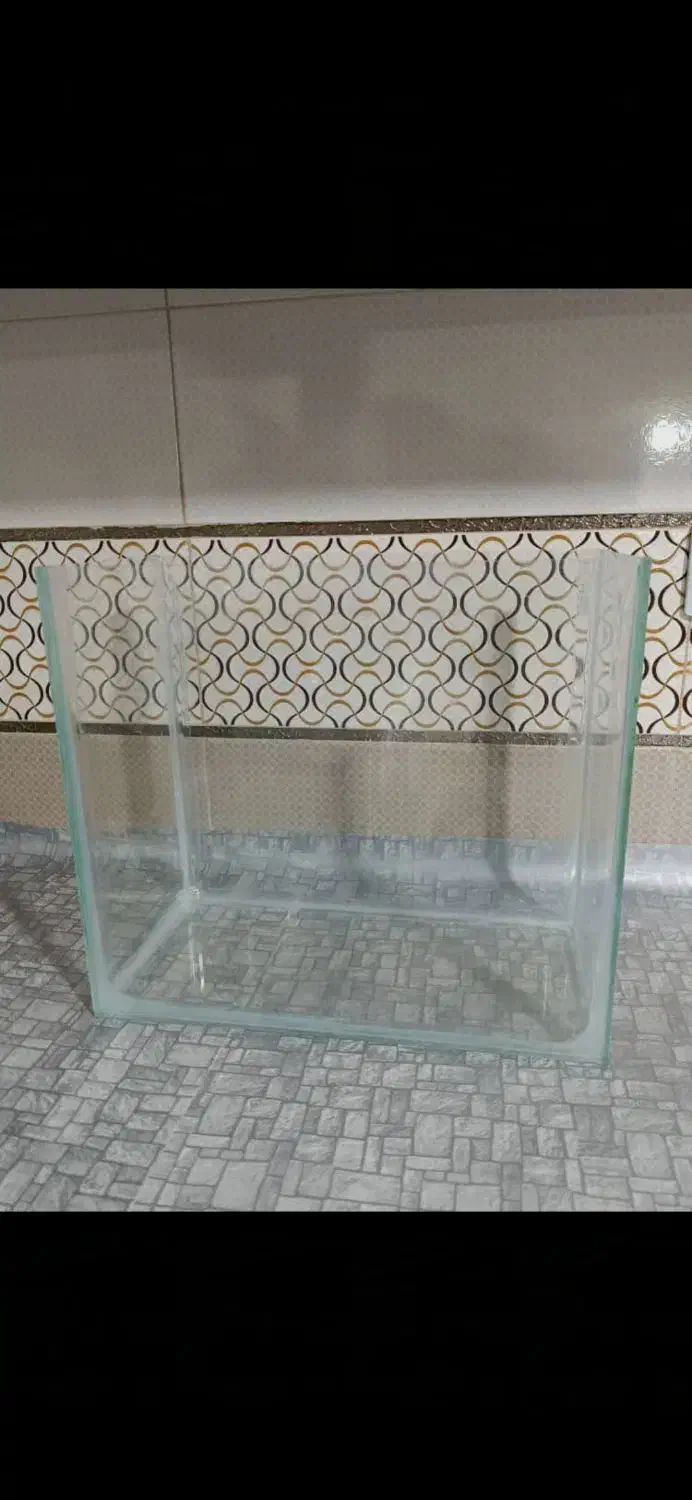 دو عدد آکواریم آماده نونو|ماهی|سیرجان, |دیوار