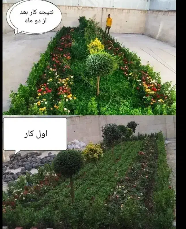خدمات کلیه باغبانی باغچه کاری کاشت گل وگیا به تمام|خدمات باغبانی و درختکاری|تهران, ستارخان|دیوار