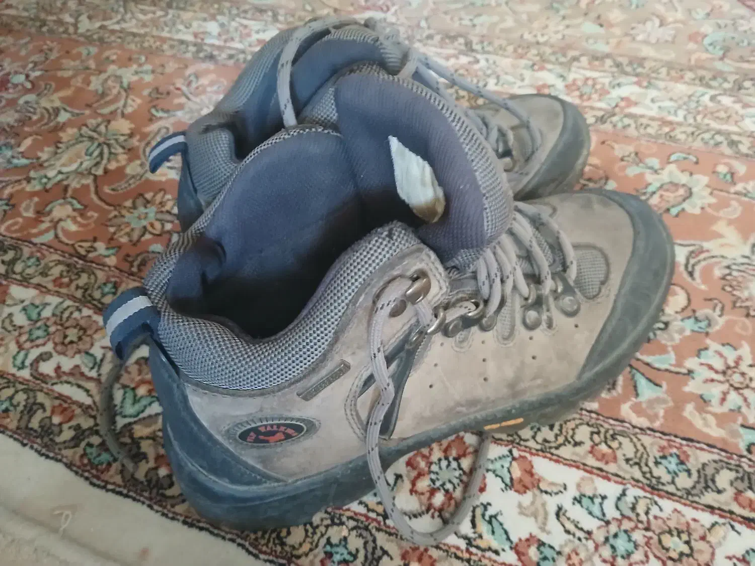 کفش کوه نوری|کیف، کفش، کمربند|زرقان, |دیوار