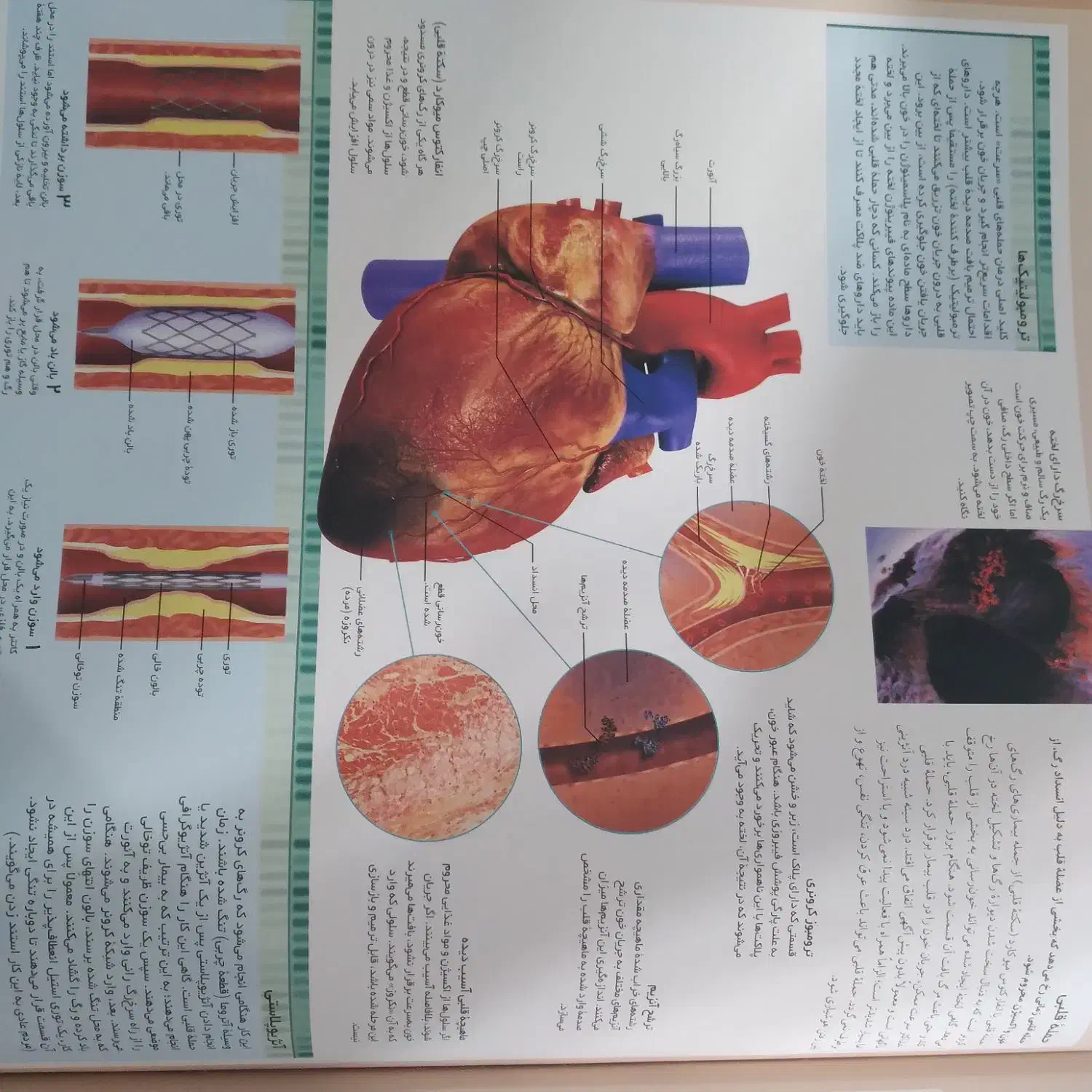 چند جلد کتاب|کتاب و مجله ادبی|اراک, |دیوار