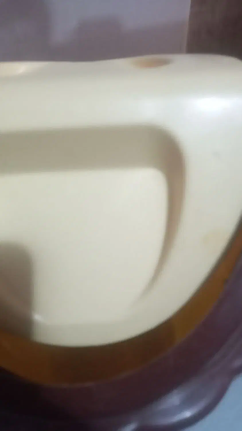 دوعدد سطل آشغال در حدنوی نو|لوازم نظافت|تبریز, |دیوار