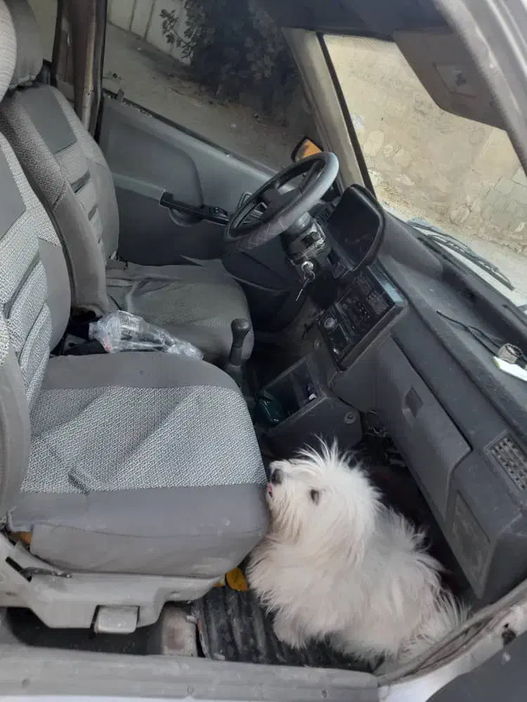 پراید مدل ۸۵|خودرو سواری و وانت|کوار, |دیوار