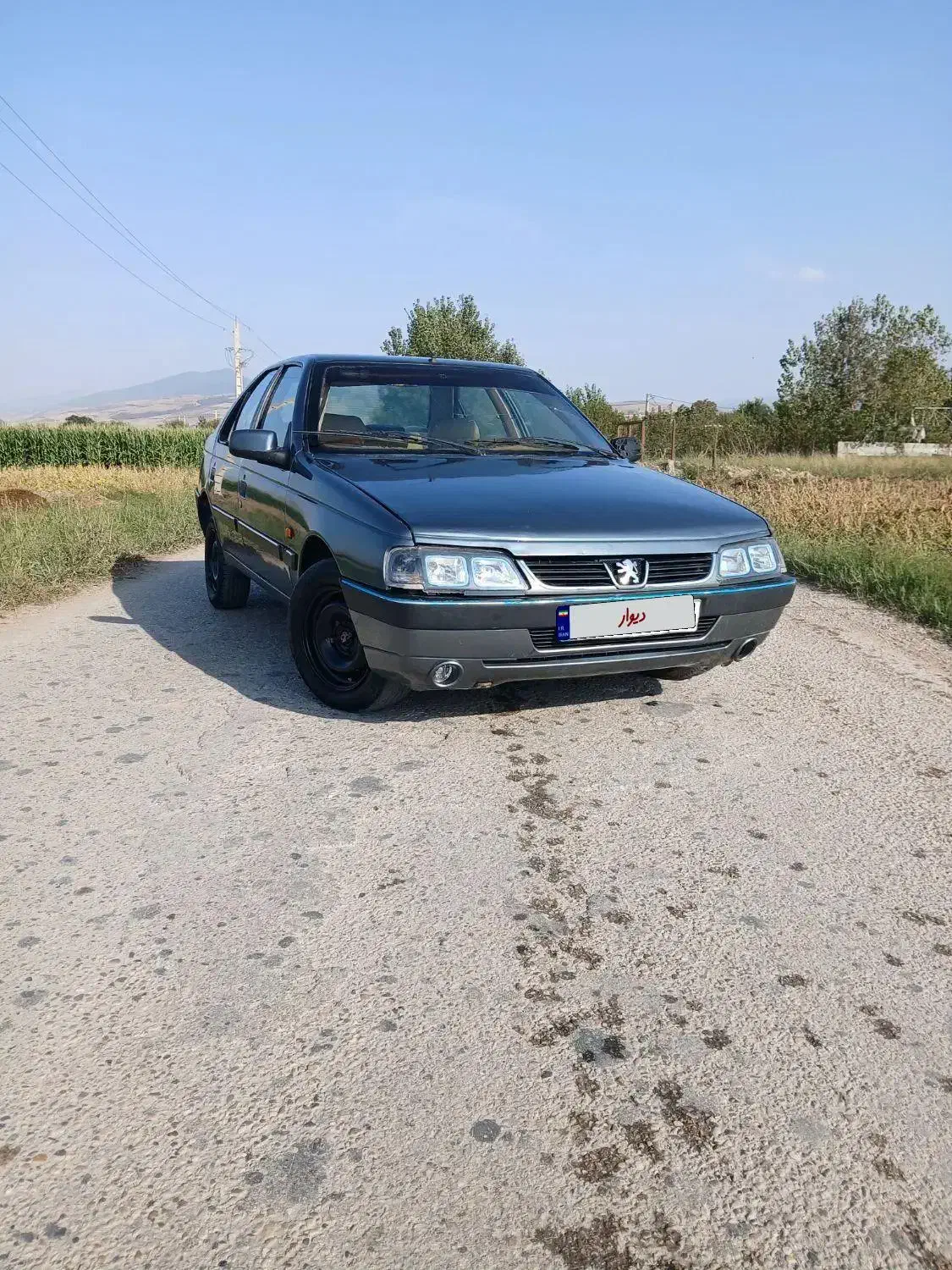 پژو سلکس دلفینی تو کرم|خودرو سواری و وانت|زابل, |دیوار