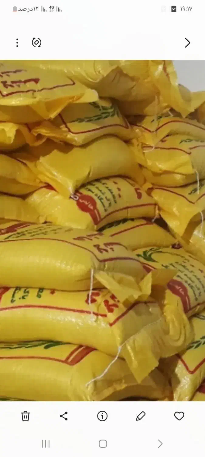 لاشه برنج هاشمی|خوردنی و آشامیدنی|رشت, حافظ آباد|دیوار