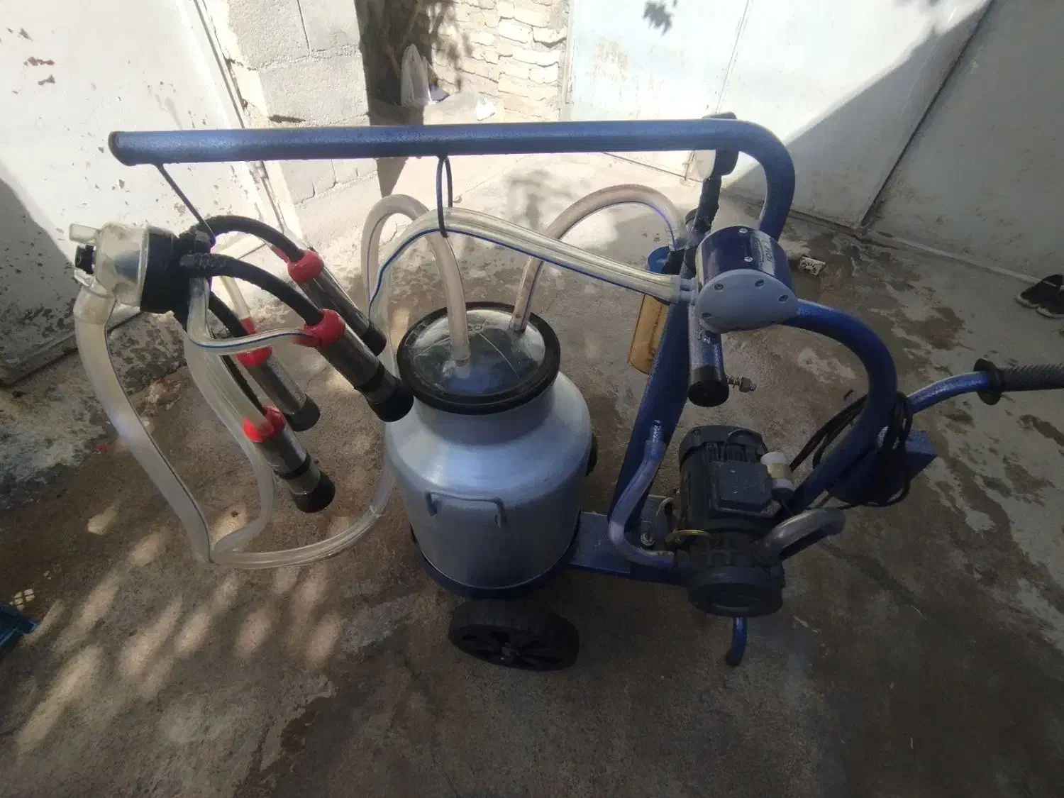 شیردوش|اسباب و اثاث بچه|دینور, |دیوار