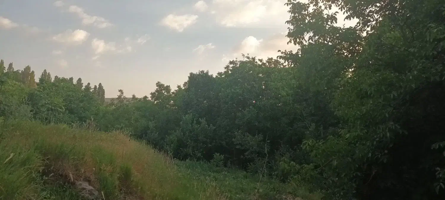 باغ کشاورزی|فروش دفتر صنعتی، کشاورزی، تجاری|آذرشهر, |دیوار