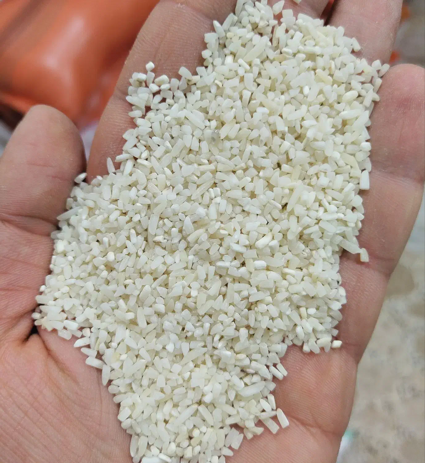 برنج شکسته دودی|خوردنی و آشامیدنی|اردبیل, |دیوار