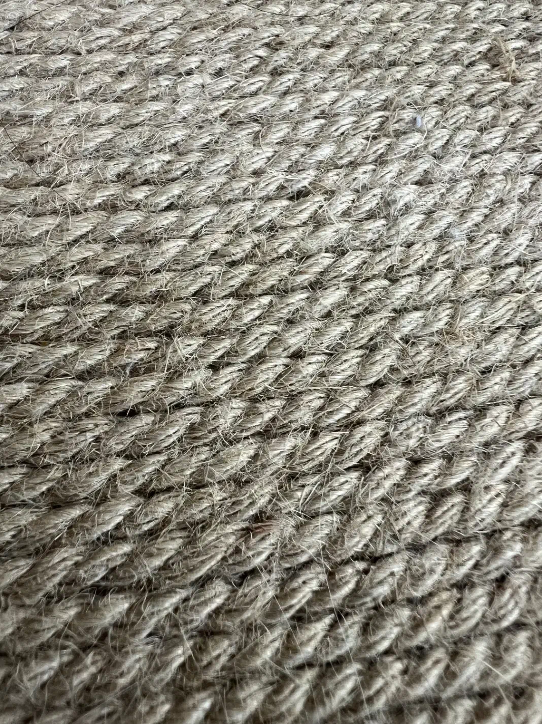 اسکرچر گربه|لوازم جانبی حیوانات|بندر ماهشهر, |دیوار