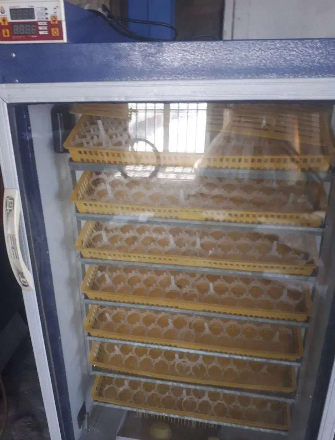 دستگاه جوجه کشی بلدرچین دماوند 588 تایی اوتومات|لوازم جانبی حیوانات|آستارا, |دیوار