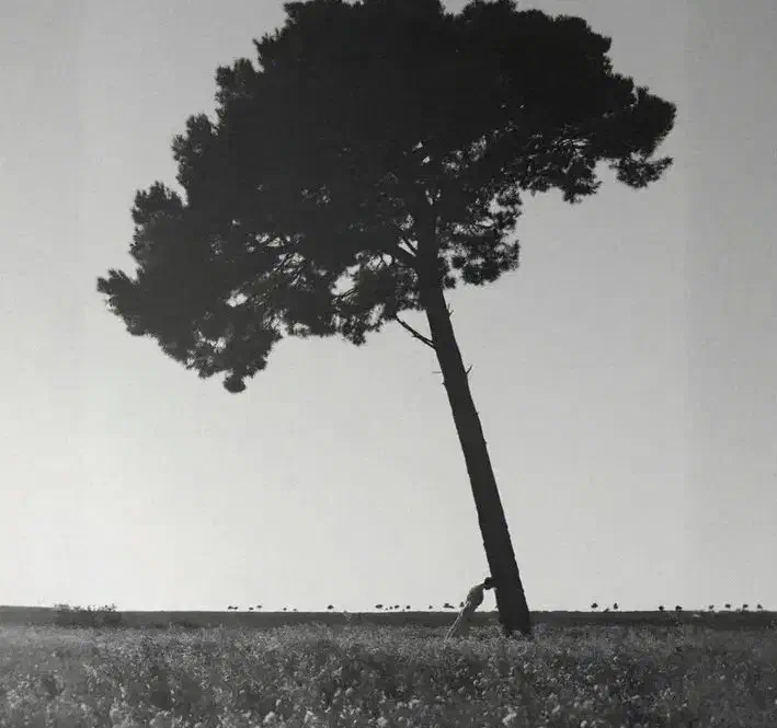 مهندسی عمران|استخدام معماری، عمران و ساختمانی|پردیس, فاز ۲|دیوار