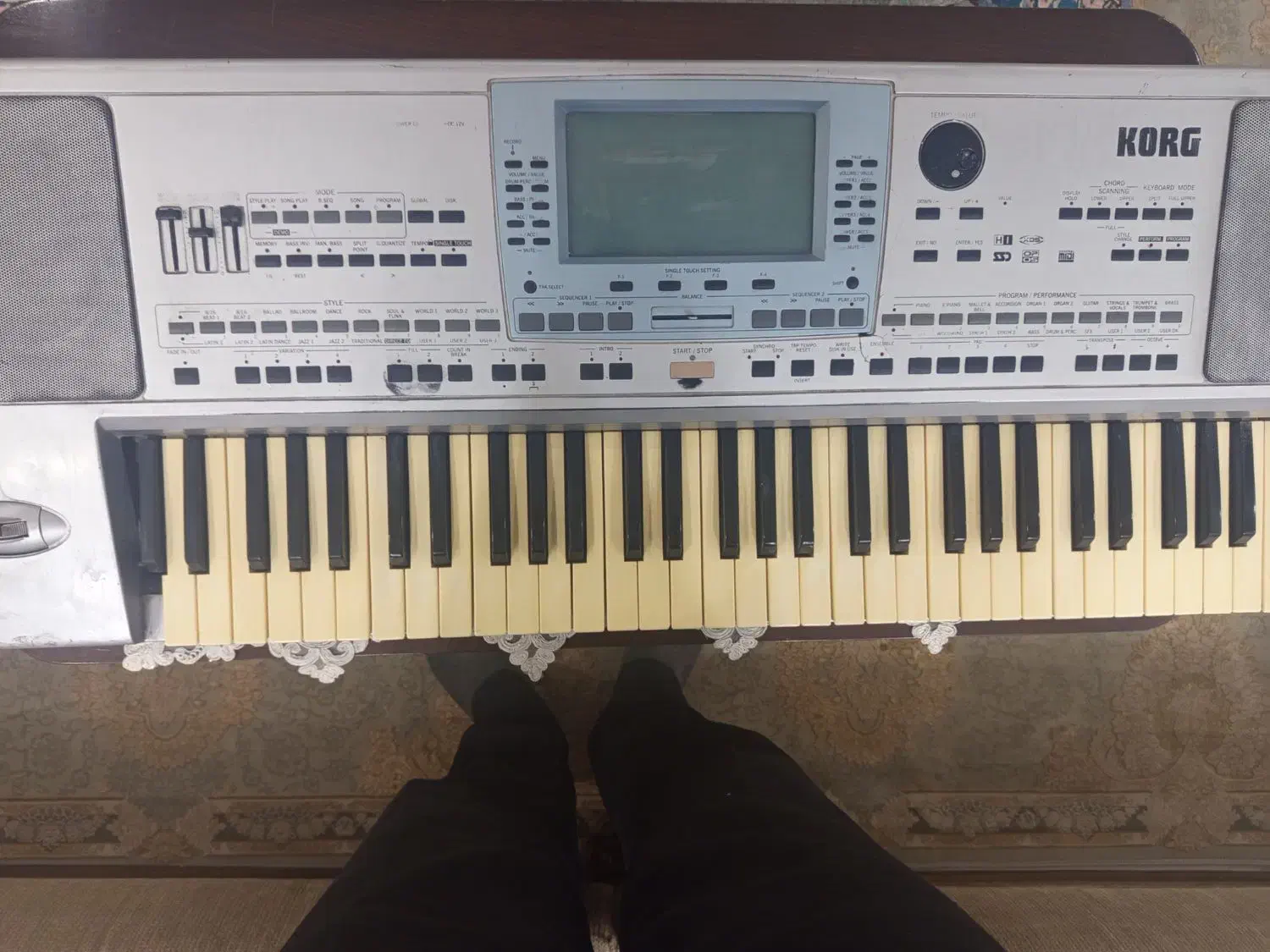 ارگ کیبورد p50|پیانو، کیبورد، آکاردئون|تربت جام, والفجر|دیوار