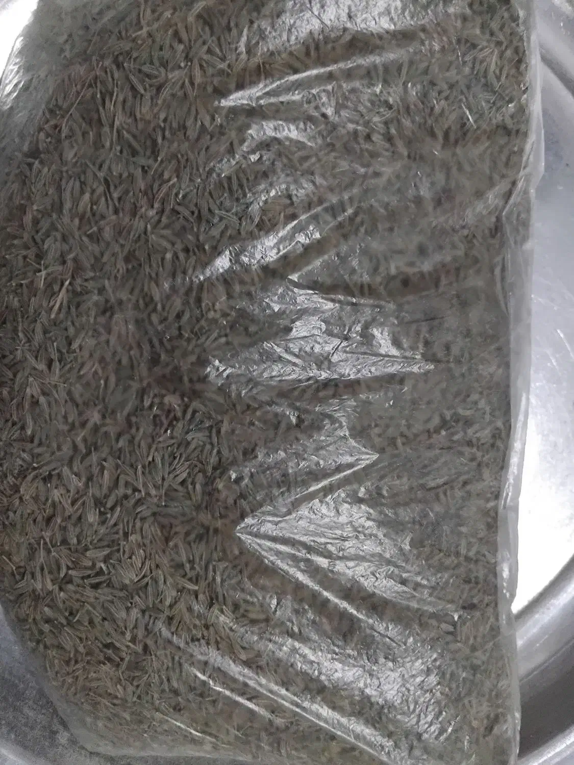 زیره سبز|خوردنی و آشامیدنی|شیراز, کفترک|دیوار