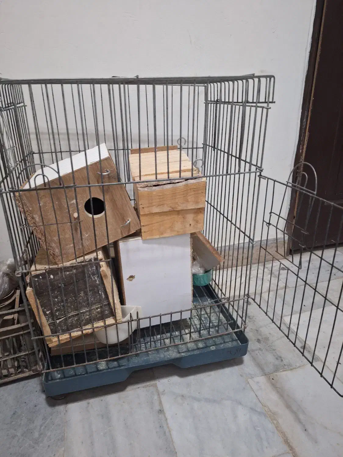 ۵عدد فقس مخصوص،طوطی سانان|لوازم جانبی حیوانات|کاشان, امام خمینی|دیوار