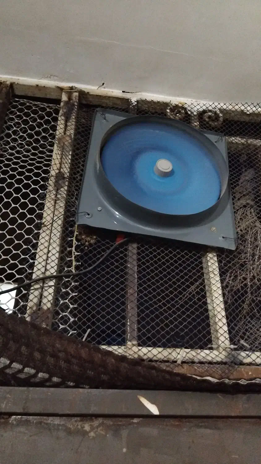 هوا کش|پنکه و تصفیه‌کنندهٔ هوا|گلستان (تهران), |دیوار