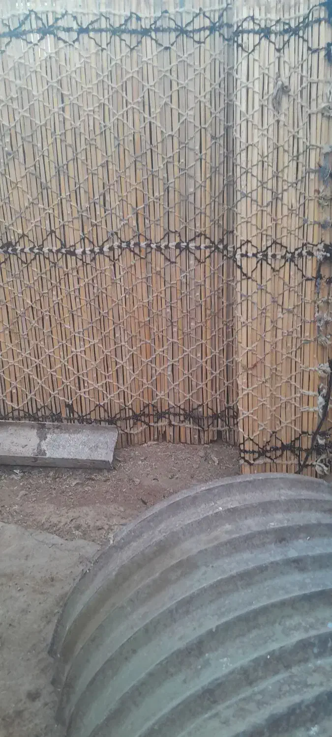 چیت|گلیم، جاجیم، گبه|سرپل ذهاب, |دیوار