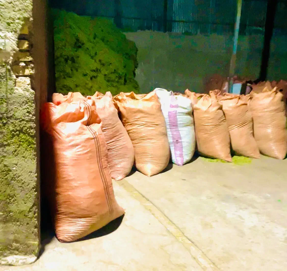 جو یونجه بره میش اسب|لوازم جانبی حیوانات|یاسوج, |دیوار