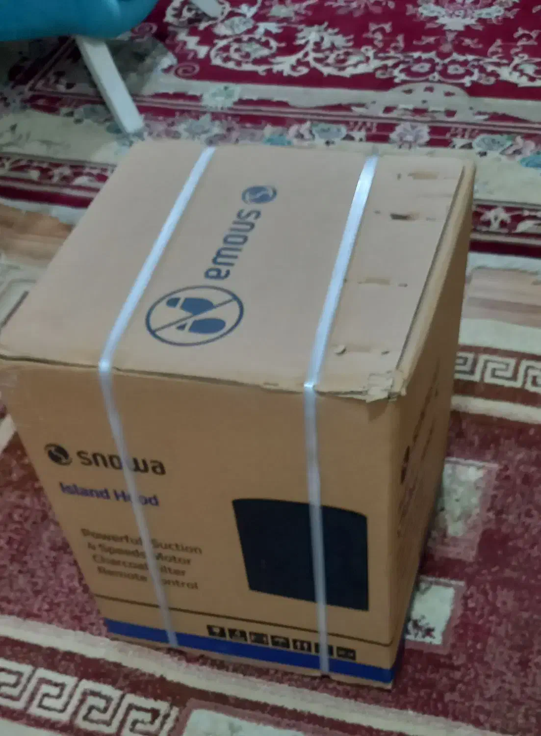 هود جزیریی|هود|تولم شهر, |دیوار