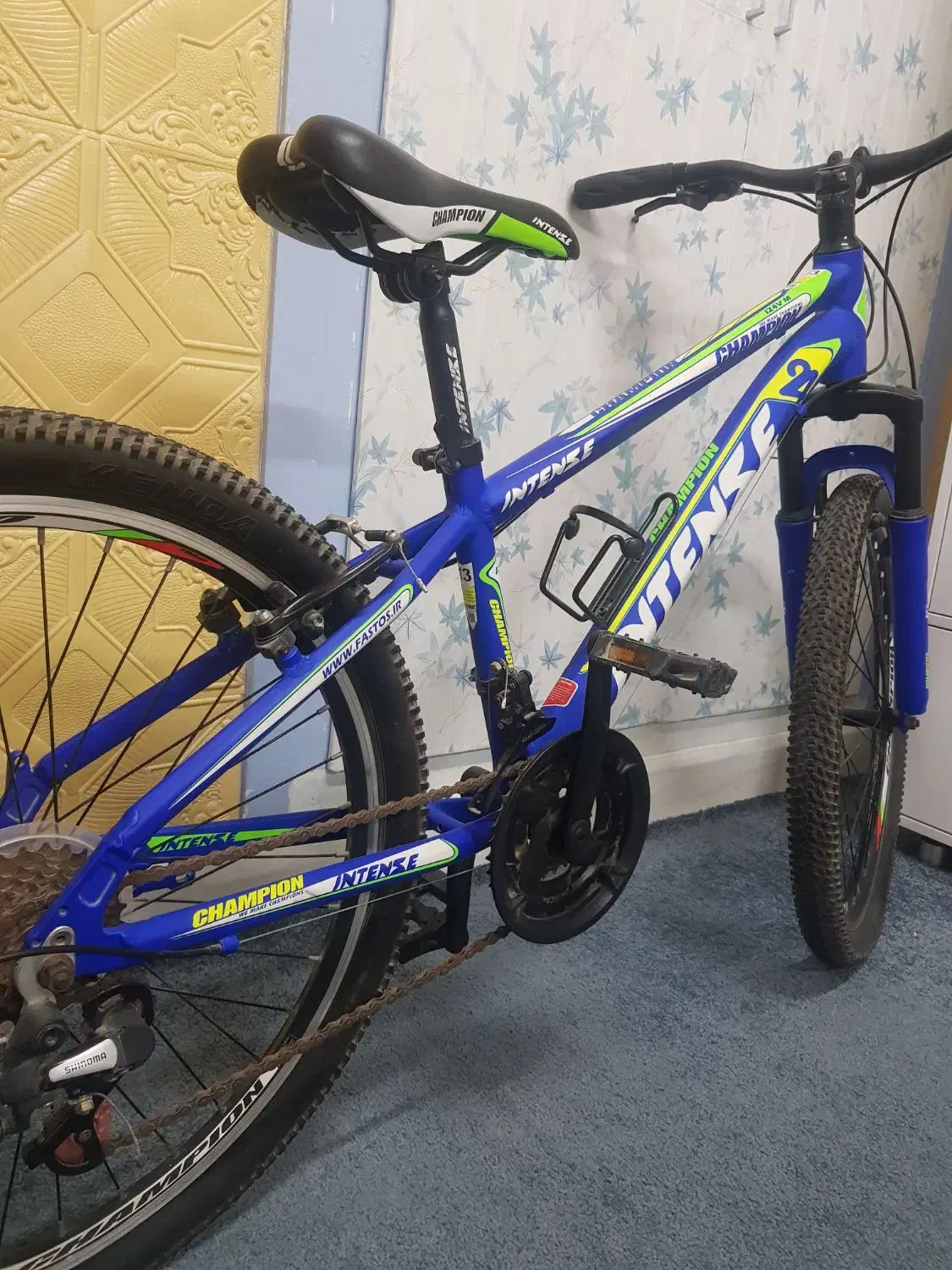 دوچرخه|دوچرخه، اسکیت، اسکوتر|بوشهر, |دیوار