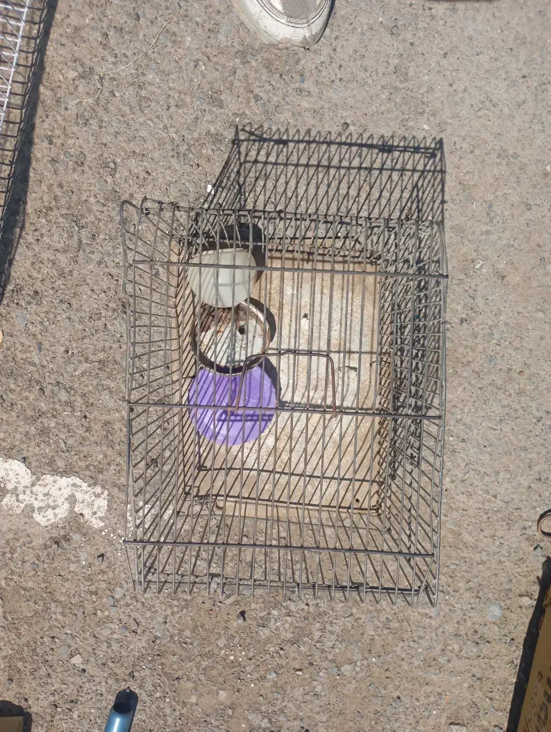 قفس|لوازم جانبی حیوانات|سبزوار, جوادیه شرقی|دیوار