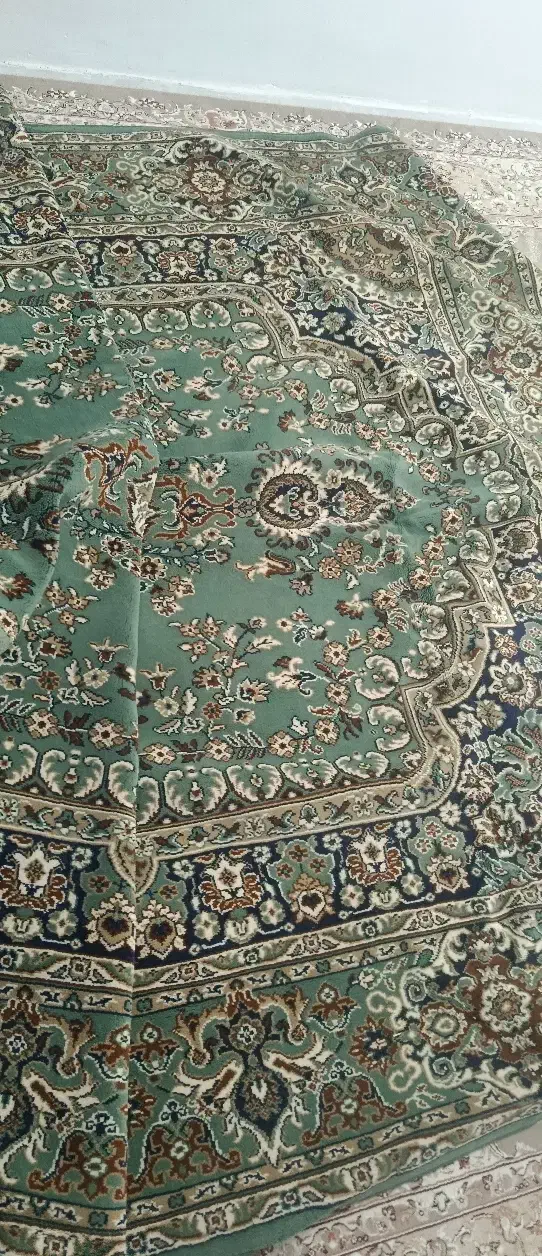 فرش ۹ متری سالم|فرش|تربت‌حیدریه, ابوذر|دیوار