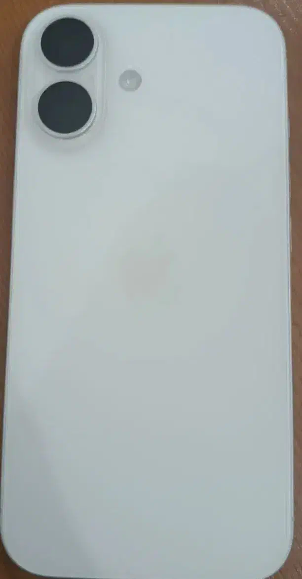 Iphone 16 Normal|موبایل|کاشان, سه راه پرورشگاه|دیوار