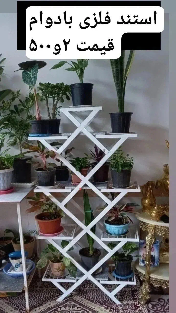 استند گل|گل و گیاه طبیعی|مراغه, |دیوار